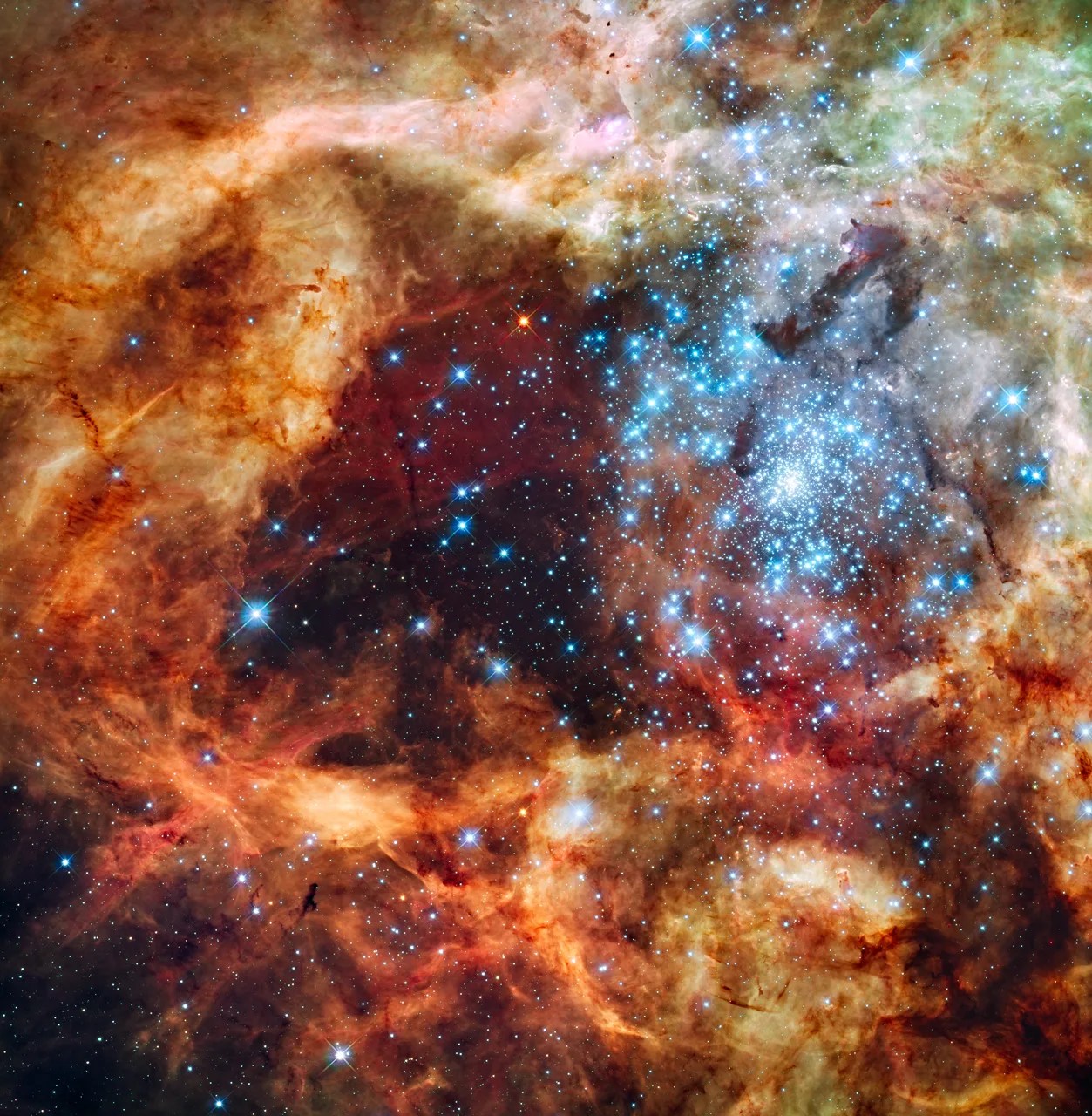 The massive, young stellar grouping, called R136, is only a few million years old and resides in the 30 Doradus Nebula, a turbulent star-birth region in the Large Magellanic Cloud (LMC), a satellite galaxy of our Milky Way. There is no known star-forming region in our galaxy as large or as prolific as 30 Doradus. Credit: NASA, ESA, and F. Paresce (INAF-IASF, Bologna, Italy), R. O'Connell (University of Virginia, Charlottesville), and the Wide Field Camera 3 Science Oversight Committee
