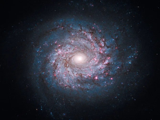 Hubble image of NGC 3982