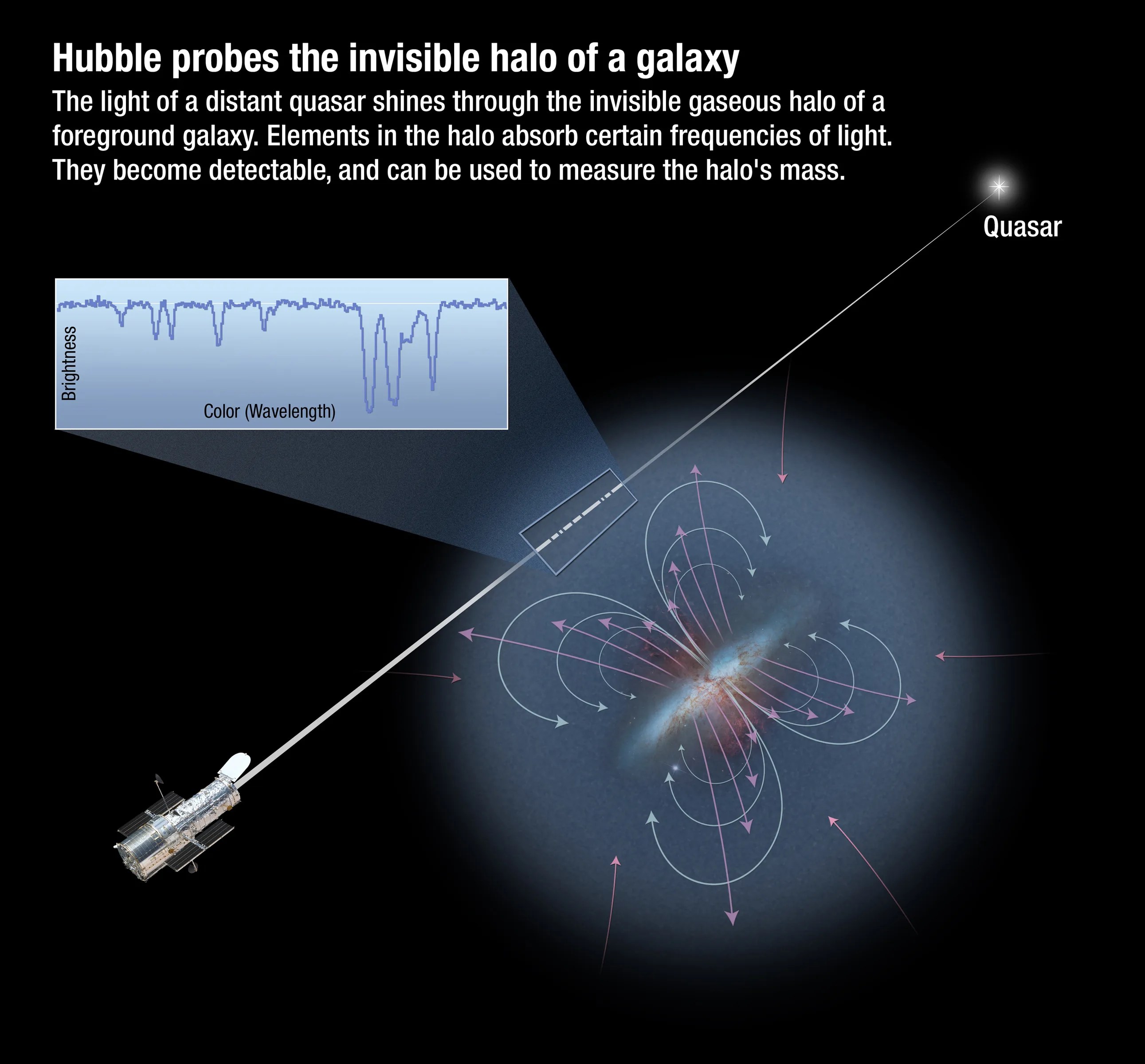 illustration of how Hubble can observe a galaxy's halo by looking at a more distant quasar