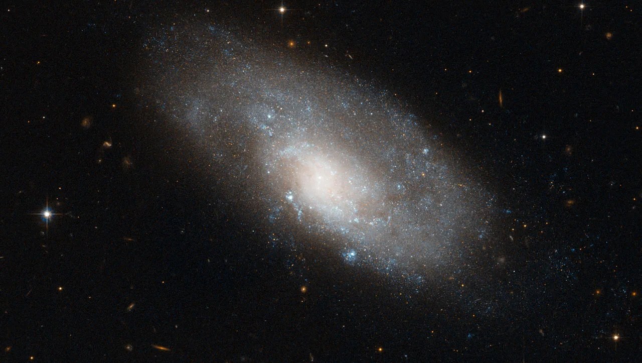NGC 4980 in Hydra appears slightly deformed
