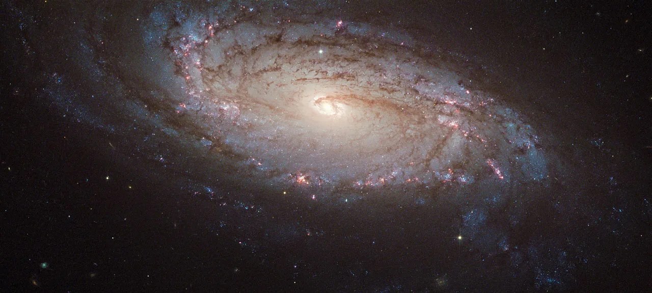 luminous spiral galaxy with pink star-forming clusters, dark dusty strands and one pale yellow supernova