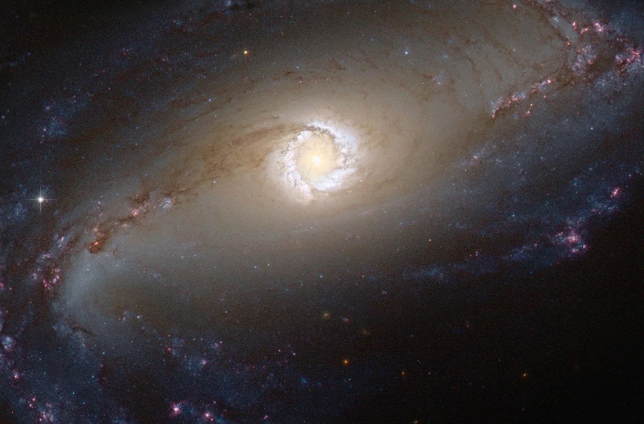 a beautiful barred-spiral stretches out long from a round, bright-yellow glowing core. Glowing clouds of stars shift through yellow and white to bluish, and dark filaments are laced with pink active star-forming regions.