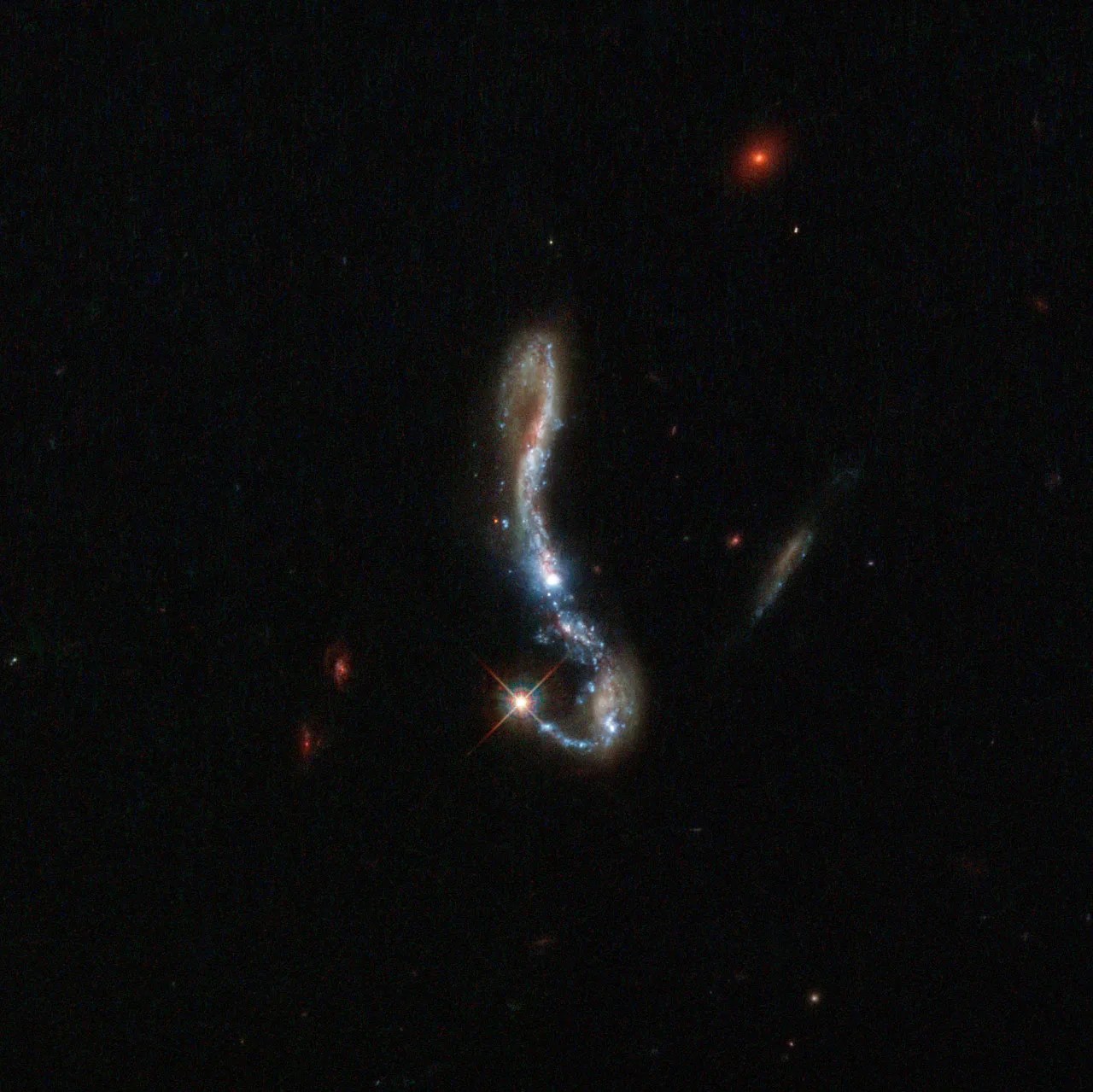 In this inverted question mark galaxy, a bright starburst decorates the end of the crook