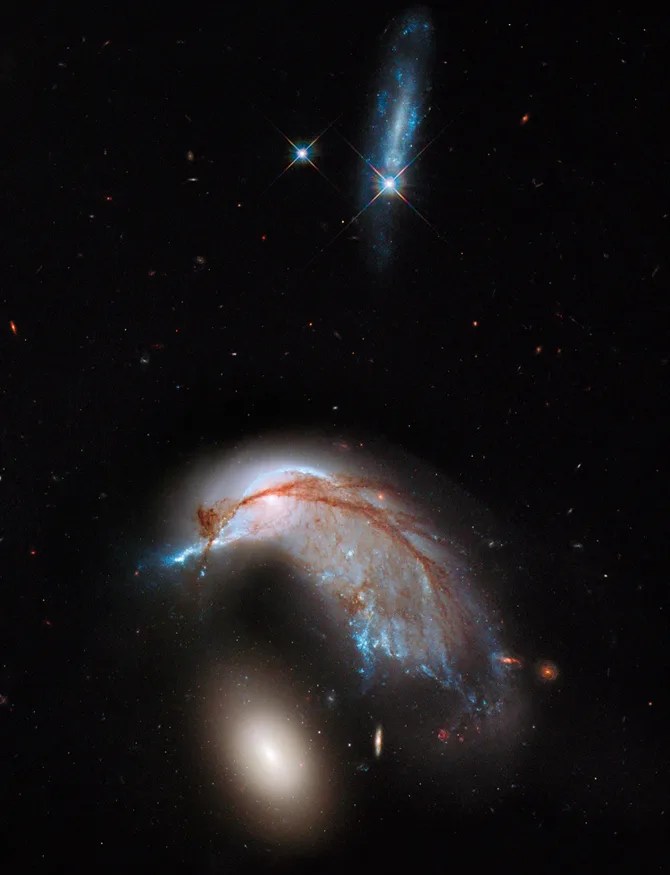 Interacting galaxy duo, Arp 142, shows the orbits of the galaxy's stars have become scrambled due to gravitational tidal interactions with the other galaxy.