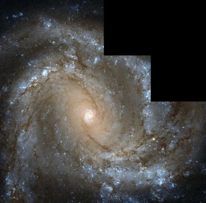 A brilliant spiral galaxy fills the entire view with Hubble's trademark stair-step image