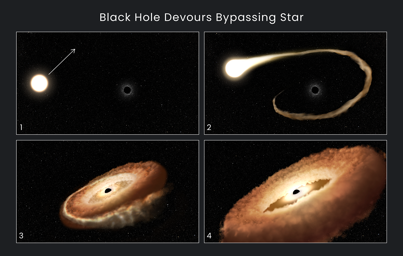 Esta secuencia de ilustraciones artísticas muestra cómo un agujero negro puede devorar una estrella. Créditos: NASA, ESA, Leah Hustak (STScI)