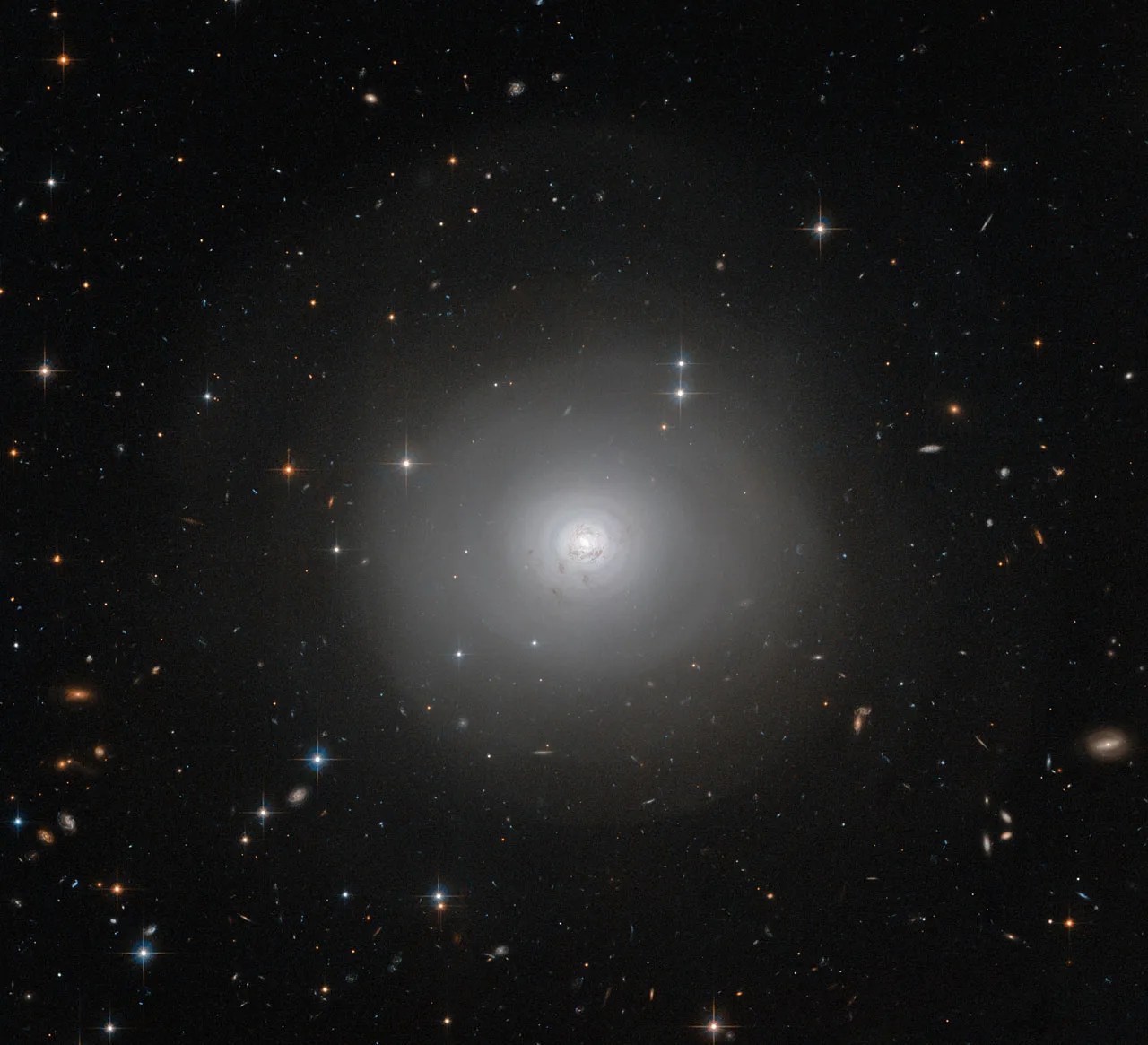 Nasa Shells Hubble Views Dark, Dusty Shells - NASA Science