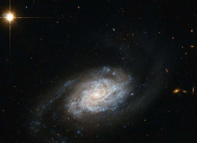 
			Hubble Sees Galaxies Spiraling around Leo - NASA Science			