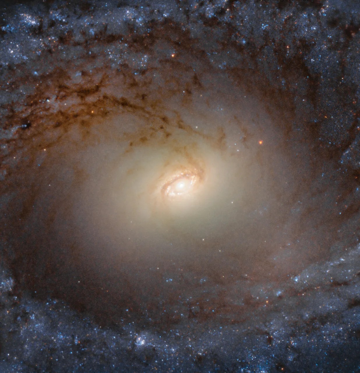 Hubble image of galaxy ic 2051
