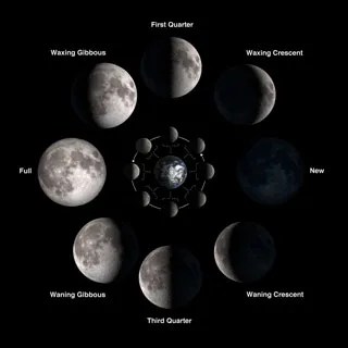 chart of moon phases