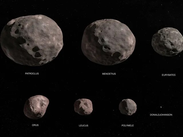 illustration of seven asteroids