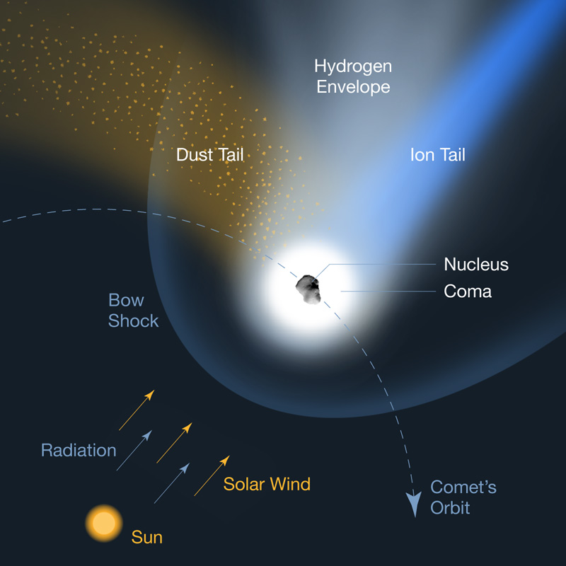 An artist's rendition showing the components of a typical comet.