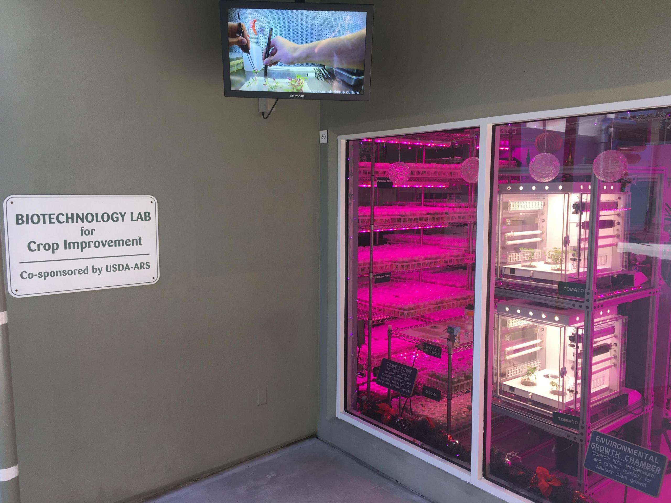 In this image, a sign to the left reads “BIOTECHNOLOGY LAB for Crop Improvement Co-sponsored by USDA-ARS.” To the right are windows that are illuminated by a magenta light and show two illuminated white squares stacked one over the other, which are plant growing chambers developed by NASA’s Biological and Physical Sciences Division at Kennedy Space Center. At the top of the image is a screen depicting scientists at work.