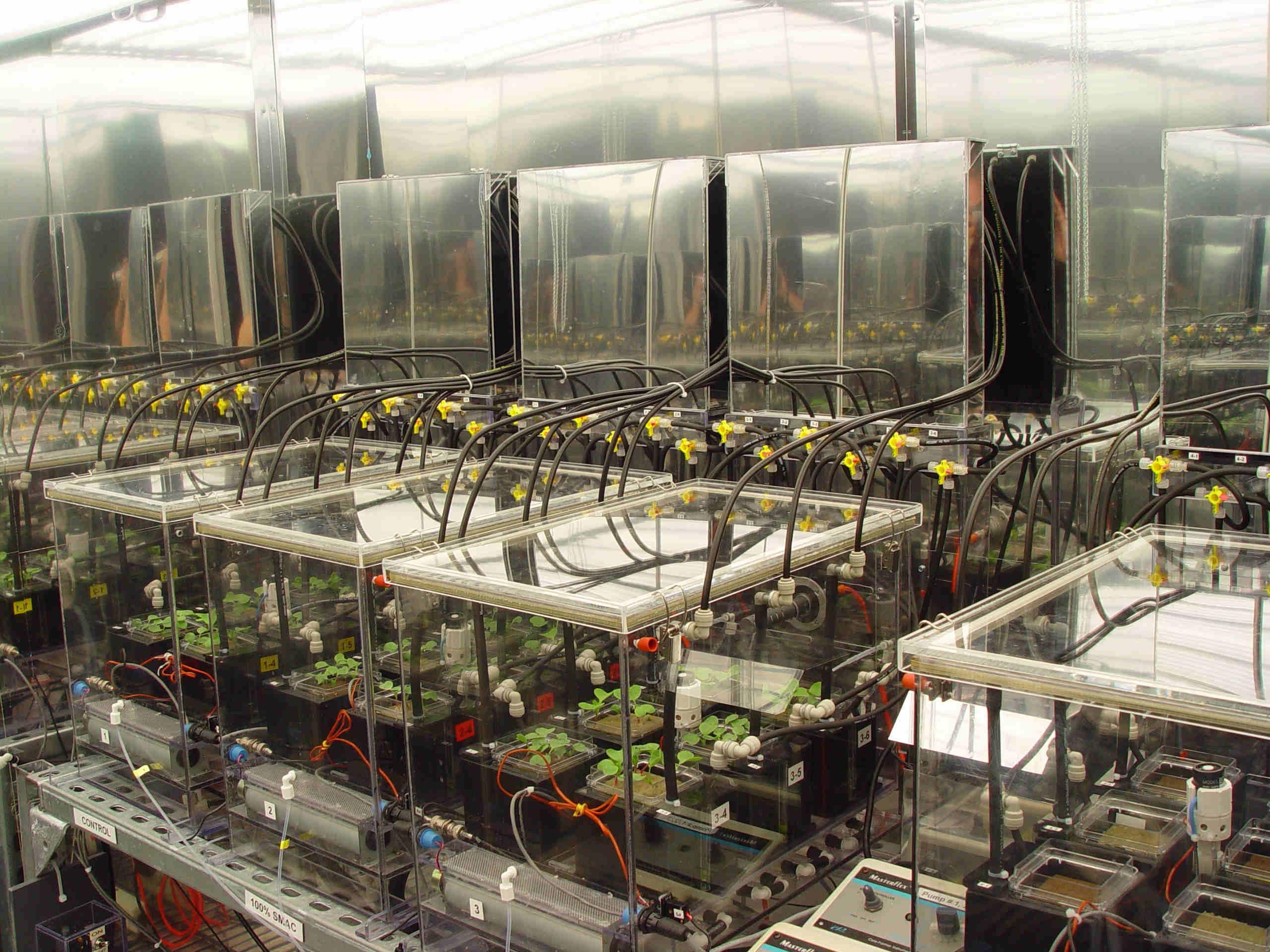This image shows several rectangular boxes with green plants growing inside them and wires and other hardware surrounding and feeding into them.