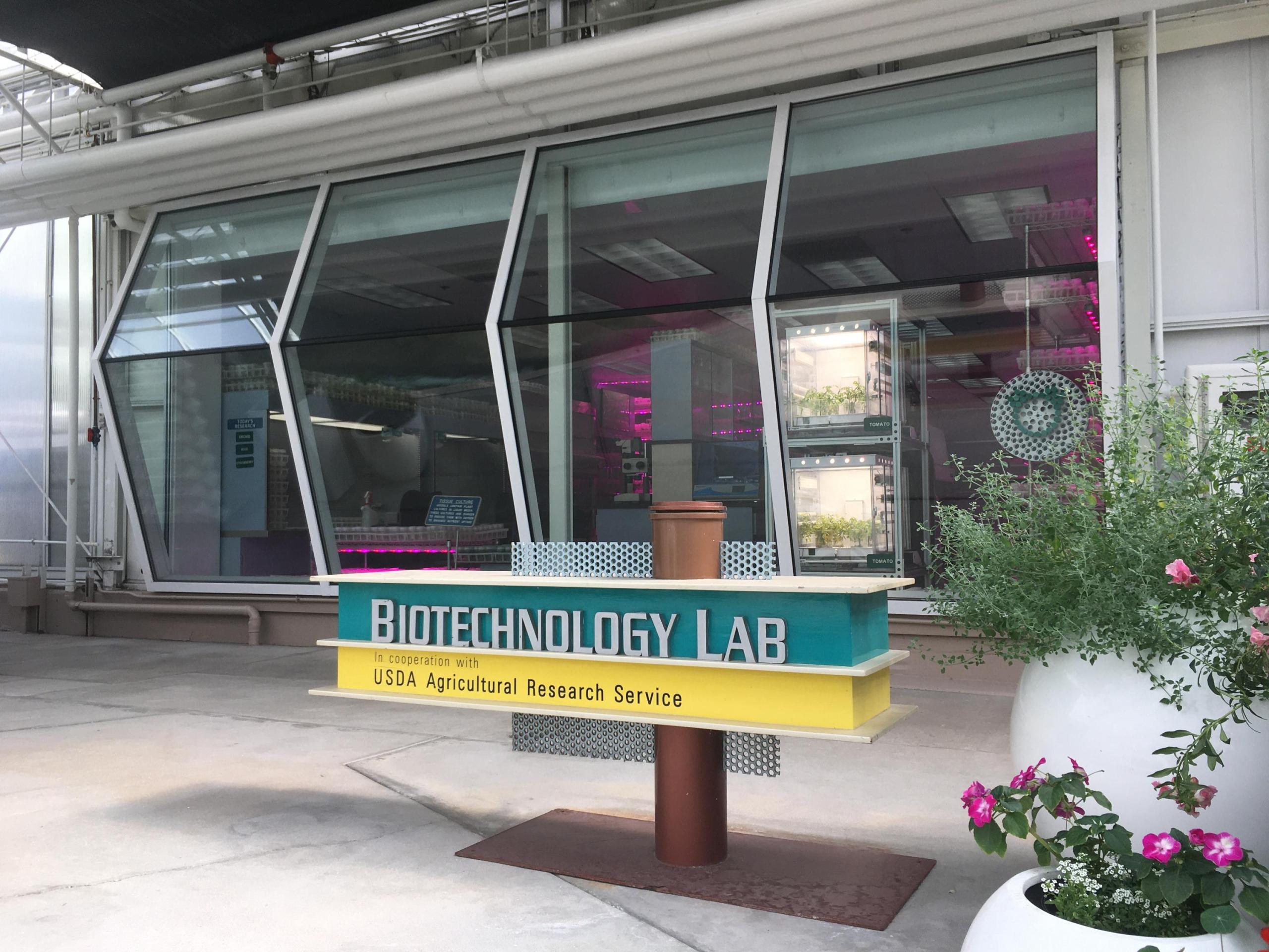 This image shows a teal and yellow sign that says “Biotechnology Lab In cooperation with USDA Agricultural Research Service.” To the right of the sign are several potted plants, and behind it are windows that give a glimpse into the inside of the lab. This includes two illuminated white squares stacked one over the other, which are plant growing chambers developed by NASA’s Biological and Physical Sciences Division at Kennedy Space Center.